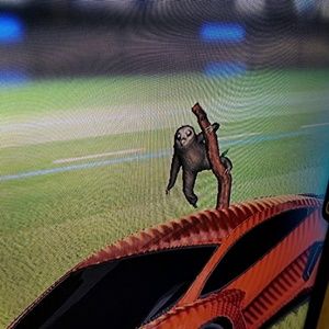 Meet your Posher, Adam